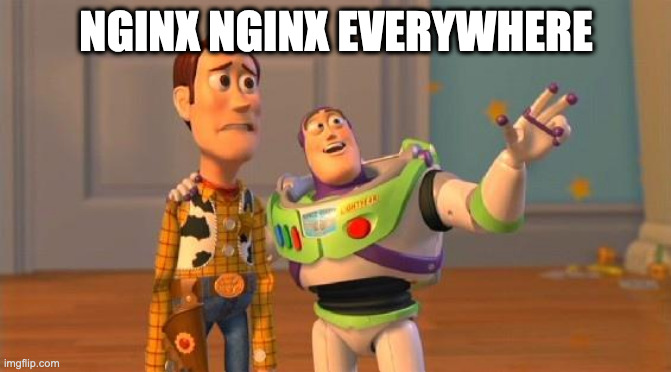 nginx-nginx-everywhere